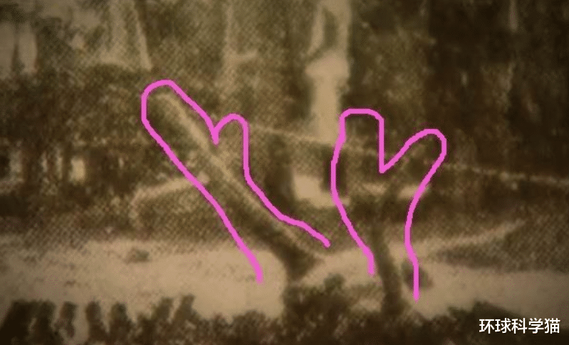 |营口坠龙是不是真的，龙会不会生活在海里只是我们没发现？