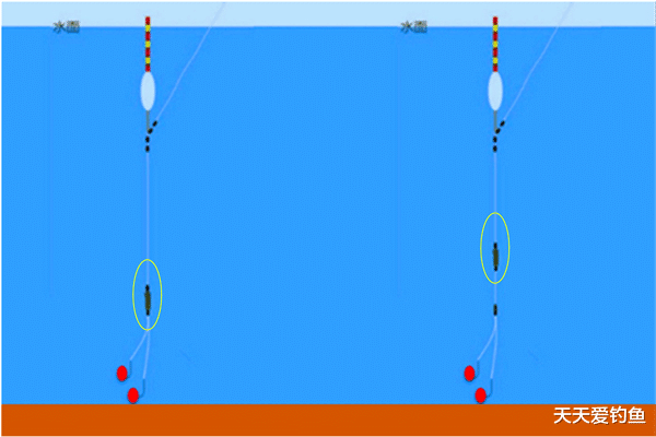 「」野钓必杀钓法：全飞铅和半飞铅钓法要点，夏季钓鱼“出场率”很高