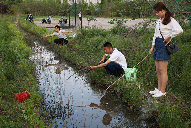 水库|黑坑玩不起,野钓没鱼钓?小鱼别放过,以小兼大才对路