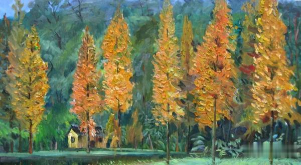 光明网视频|浙江:大雨!暴雨!下到这天才肯歇……