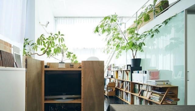 |这一对日本夫妇爆改小公寓，40㎡的房间内部照，简直美哭了！