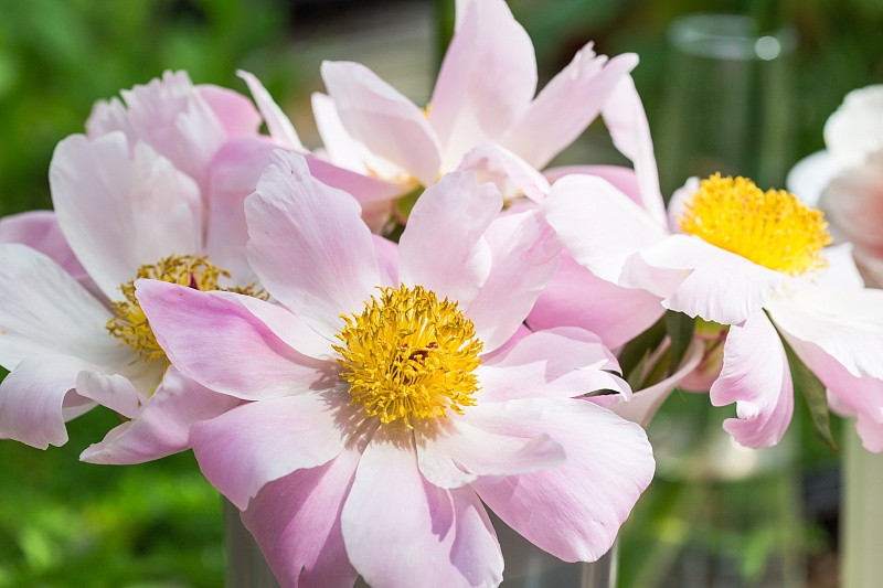 生肖■去年穷得叮当响,今年富得流油,三属相时来运转,一年比一年有钱