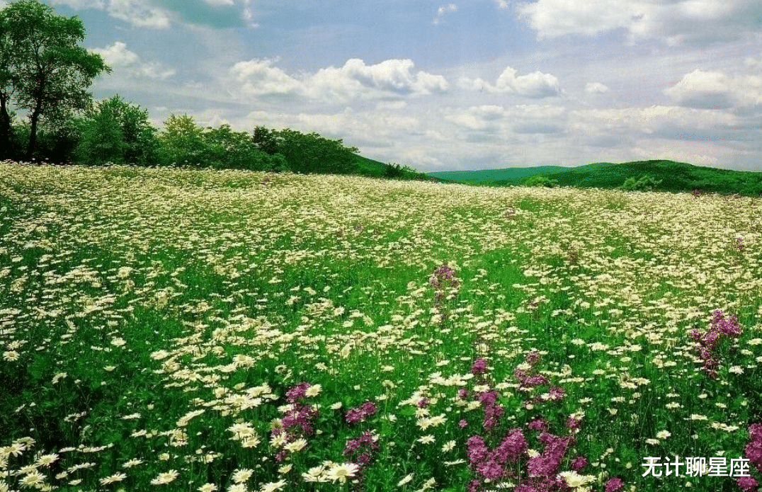 |四个星座,拼搏不服输,深受器重,升职加薪,前途大好