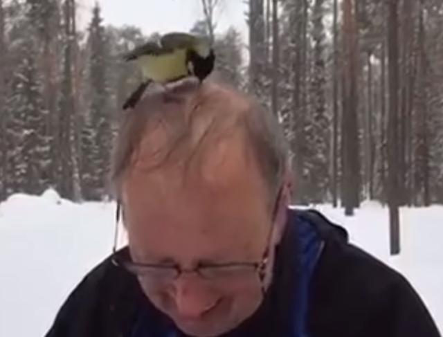 科学家@专吃脑子的鸟