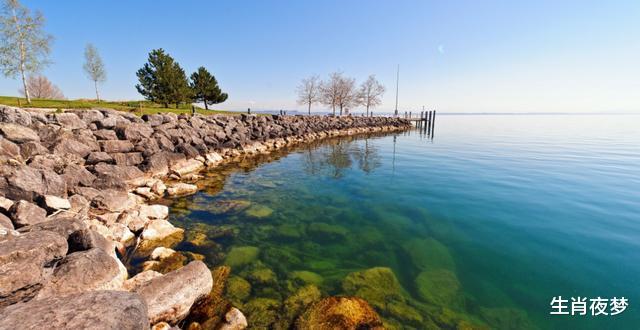 【心跳】7月一到，邂逅旧情人，脸红心跳，3生肖重启爱门，幸福再也不缺席