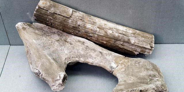 #盗汗#张仲景的一个方剂,没有滋阴药,却能用于“阴阳两虚”证