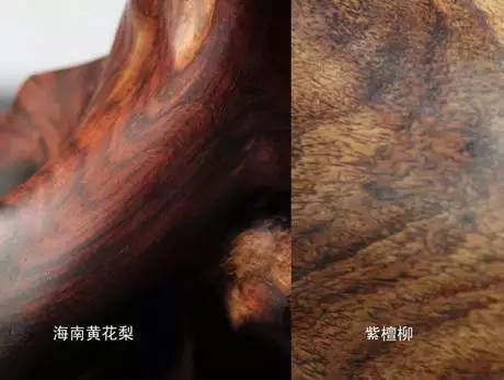 紫檀柳|教你如何鉴别区分紫檀柳与黄花梨？