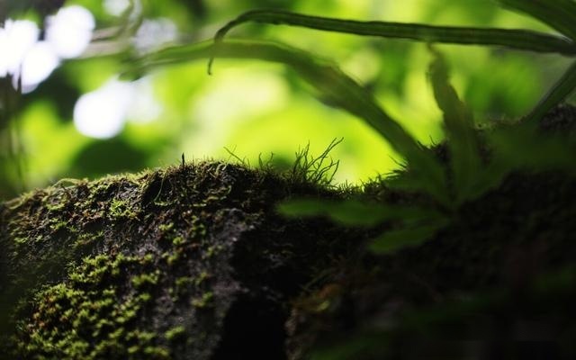 运势|从8月13日开始，运势真好，会鸿运当头，福财兼收的三大生肖
