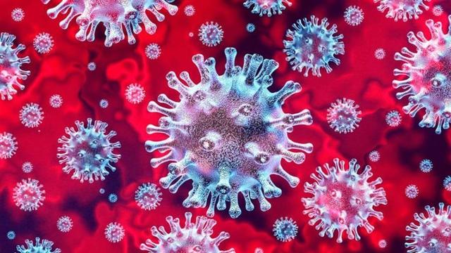 [美国]发生了什么？英卫生部门终于承认，病毒样本被秘密空运到美国