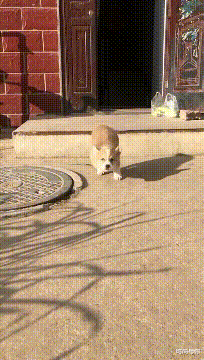 |你不是说这双鞋能穿一辈子吗?