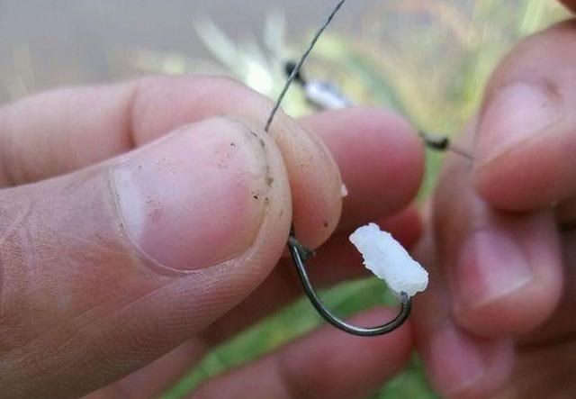 ##钓鱼大半辈子，才发现米饭粒钓饵这么好使，野鲫“张口就来”