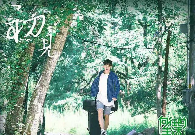 『向往的生活』细说《向往的生活》第四季的“三宗罪”