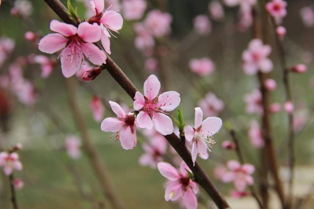 生肖|这3个星座对恋爱很严格，结束恋情后就会断联系，绝不回头