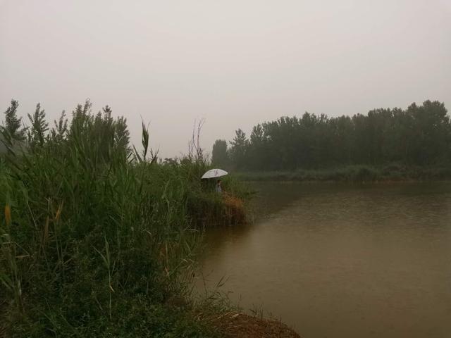 深水区|钓鱼：立秋后怎么选钓点？