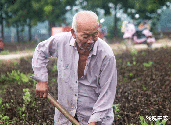 农村见闻|8月起，60岁农村老人或面临“2大无奈”！家家都会遇到，咋化解？