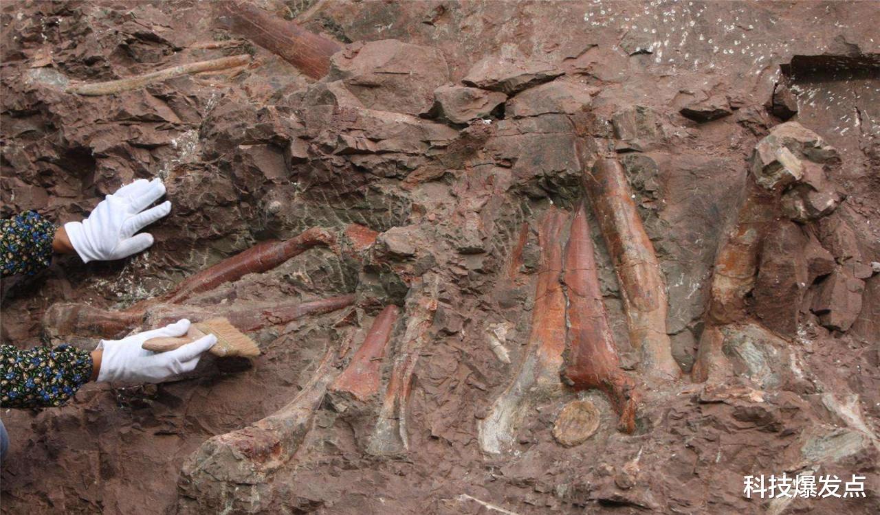 恐龙|文艺复兴油画中出现恐龙，曾经还发现“智能手机”，是时空的错乱吗？