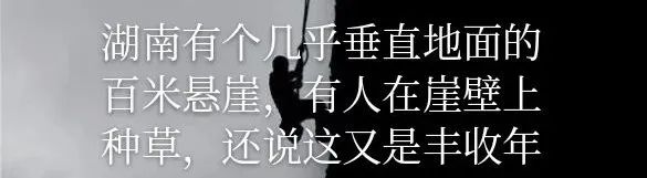 [日环食]今天的日环食也许很美，可惜我没能看见