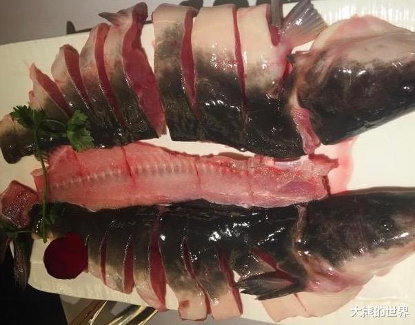 #小龙虾#小龙虾之后，又一入侵物种被国人端上餐桌，肉嫩味鲜不比本土鱼差