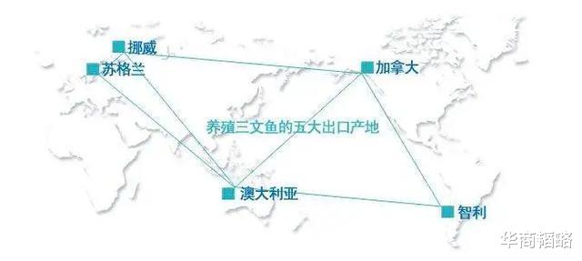 『』新发地疫情三文鱼无辜躺枪，但或将揭开华南海鲜市场感染之谜！