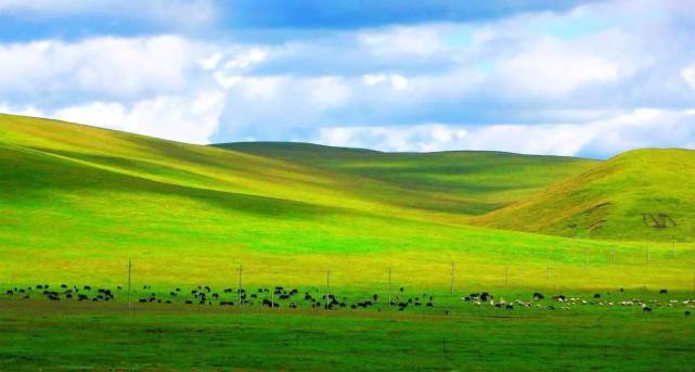 甘南|走过盛夏,甘南的秋天,又是另一个五彩斑斓的世界!