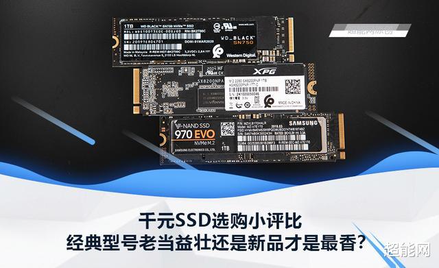 「ssd」千元SSD选购小评比，经典型号老当益壮还是新品才是最香？