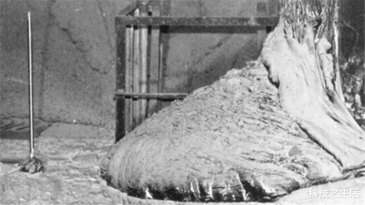 眩晕|切尔诺贝利的“大象腿”，只要几秒，人类便出现眩晕而“离世”！