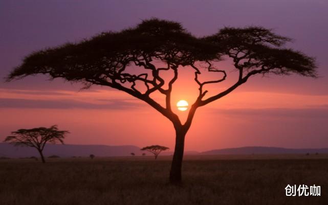 生肖|10月，姻缘到，红娘牵线，桃花运上涨，牵手真爱的3个星座