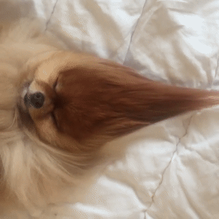 |为什么和男朋友第一次一直进不去？没人教过你穿针吗？哈哈哈哈哈