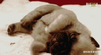 [肝脏]为啥睡觉时身体突然抖一下？医生解惑：或是身体的2个地方出问题