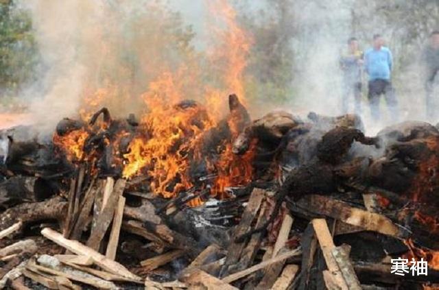 冰葬|低温“冰葬”粉碎在武汉试行，以后没有骨灰只有冰渣你能接受吗？