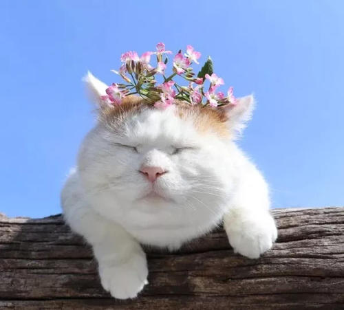 |分分钟得罪领导的几句口头禅，你可能经常说...