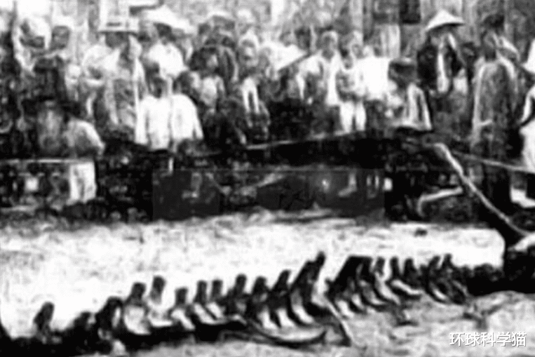 营口|在这个世界上，有多少科学无法解释的谜？