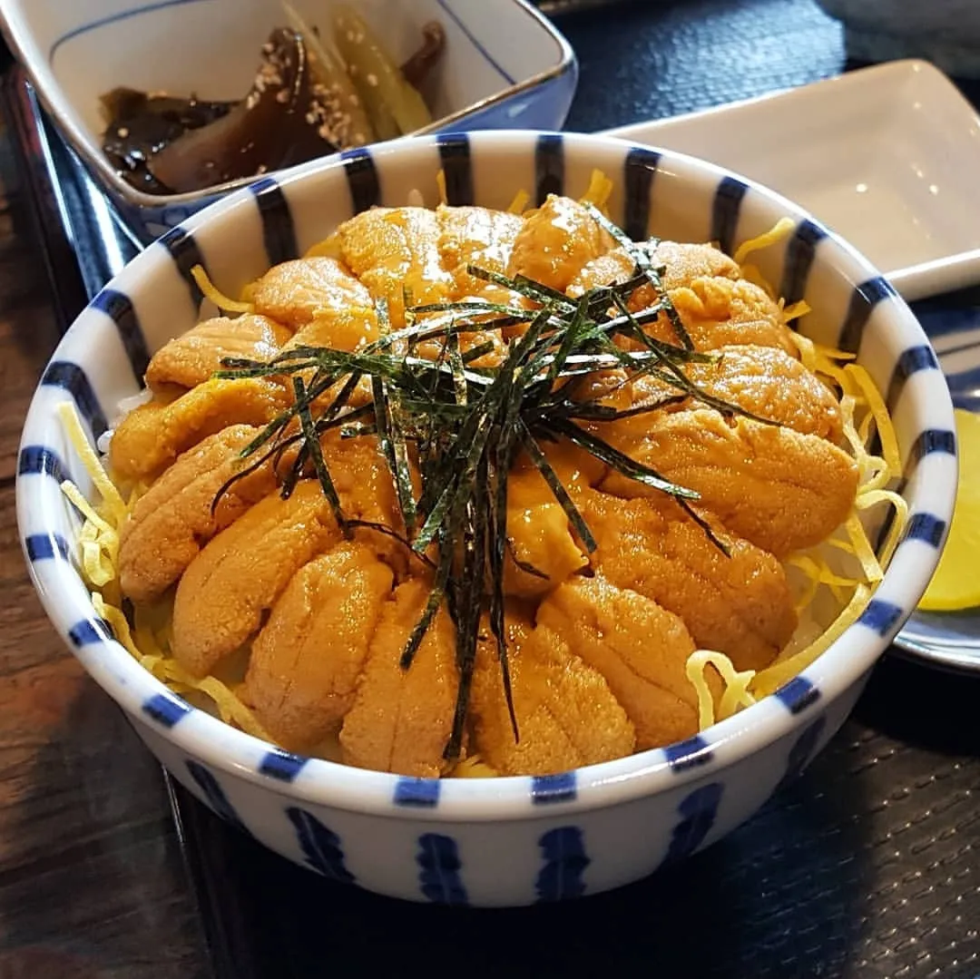 sayaka■“北海道李子柒”火了！住森林小木屋，在零下三十度的北国钓鱼烤肉喝酒