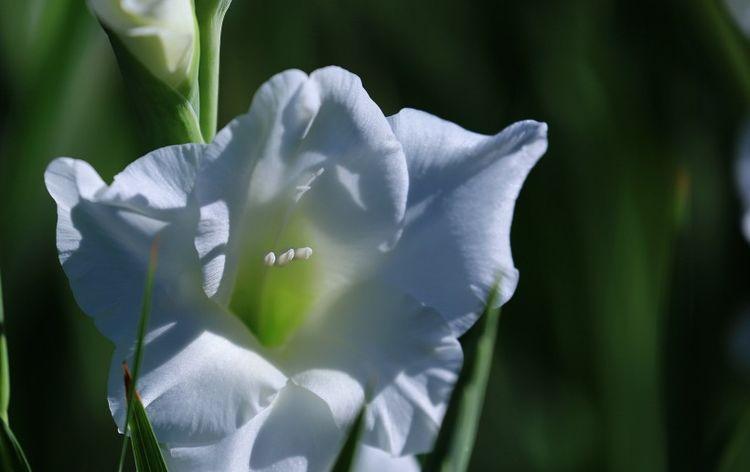 金牛座|10月中旬，秋风唤起真情，细雨迎来爱情，获甜蜜佳缘的四大星座