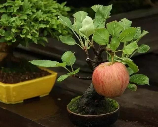 []10张图片告诉你，大自然的力量有多奇妙，人类有多渺小