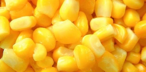 玉米|走水中打窝为何没有鱼?老钓友:“这种窝料不过是喂鱼罢了”!