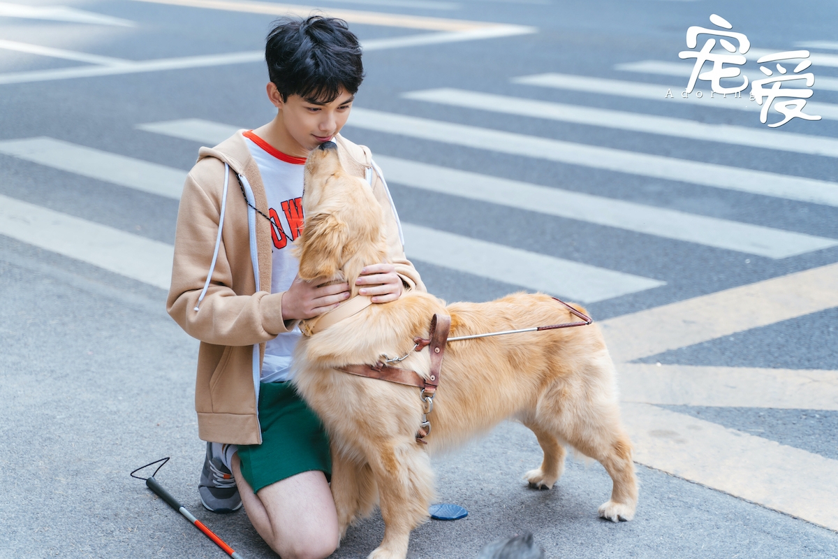 「张子枫」2019年最赚足眼泪的烂片！上映10天票房超5亿，豆瓣评分仅6.2分
