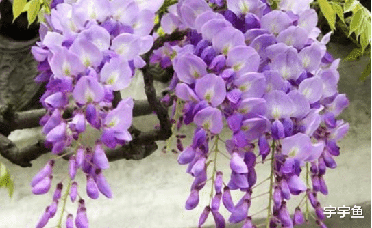 运势|9月7号、8号和9号起财神登门报喜，大财小财不断，喜迎百万横财！