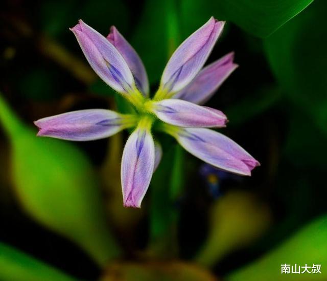 「」“做人无趣，如见死鱼”：无趣之人，有这四大特征，你有吗？