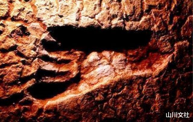 「古生物学」人类起源于何时？若说早在2亿年前就有了人类，肯定没人会相信