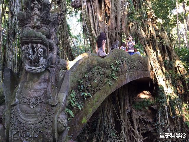 水底奥秘|龙一直藏在深海里，直到现在没有被人类发现？有这种可能吗？