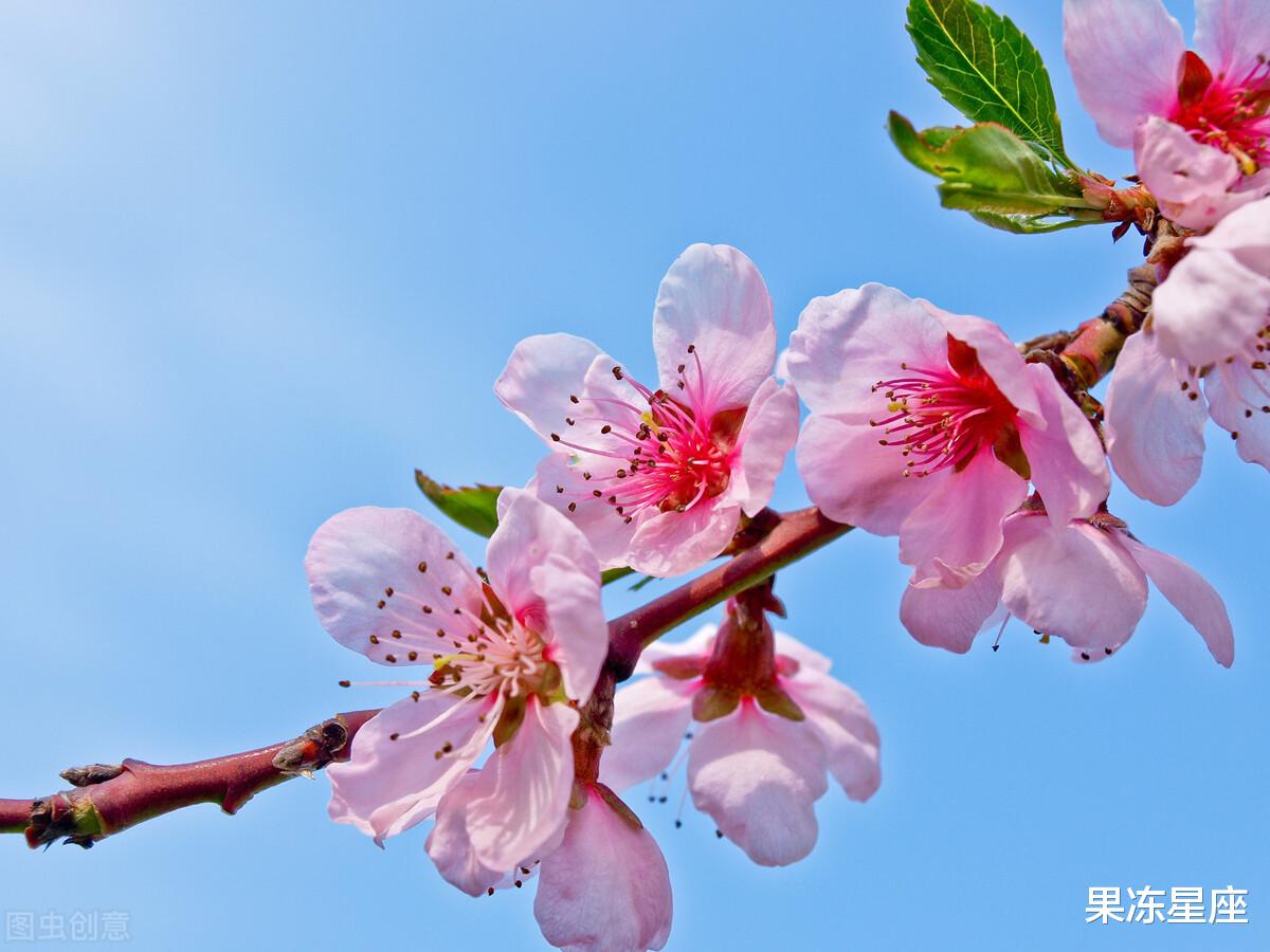 手机游戏|未来一周，工作顺意又有钱的四个星座，最后一个有桃花
