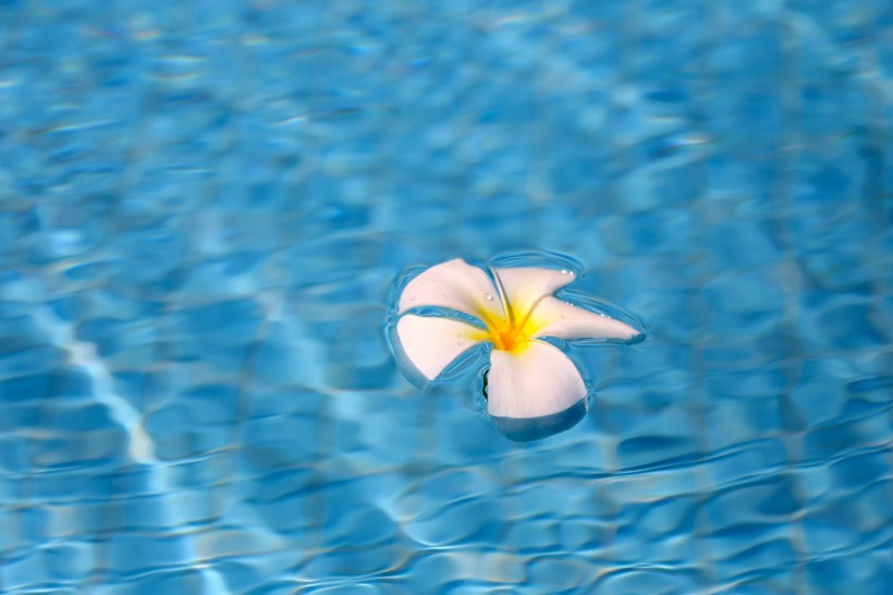 [生肖]7月中旬，久别重逢前缘依旧，情系心间，将情深今生的四大生肖