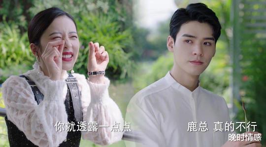 鹿鼎记|新剧《从结婚开始恋爱》大火：从结婚开始恋爱，根本就是一场骗局