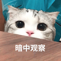 |今年高考10大热搜专业火了! 你的专业有在其中吗?