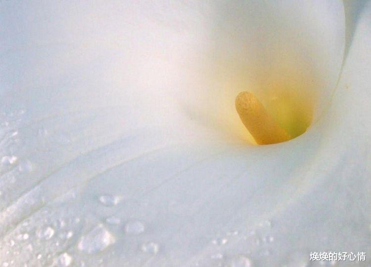 旧爱|下周起，桃花现身，缘分指引，告别孤单，牵手真爱的4大星座