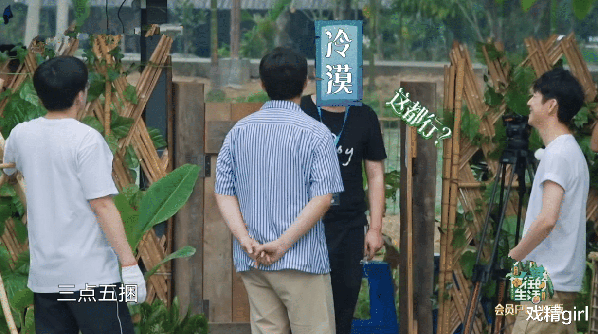 【黄磊】一只鸡要十捆香蕉！黄磊拿板砖“威胁”导演，周迅调侃彭彭太自恋