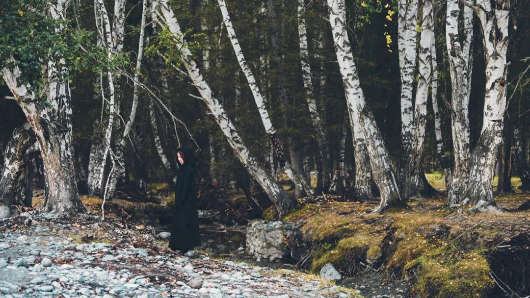 新疆维吾尔自治区:今年,一定要去一次新疆!