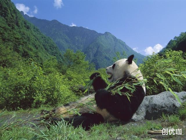 双子座|?2020年底,告别穷苦,翻身转运,好日子来临,得财得利的3个星座