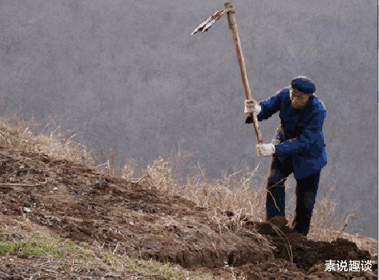 素说趣谈 农民一锄头翻身致富：种菜挖出纯金香囊，估价超过1500万